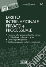 Elementi di Diritto Internazionale Privato e Processuale: Funzione e funzionamento della norma di diritto internazionale privato - Cenni di parte speciale - Diritto processuale civile internazionale. E-book. Formato PDF ebook