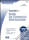 Compendio di Diritto del Commercio Internazionale: Analisi ragionata degli istituti - Approfondimenti giurisprudenziali e dottrinali - Domande più ricorrenti in sede d'esame o di concorso. E-book. Formato PDF ebook di Michele Ius