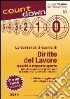 Le domande d'esame di Diritto del Lavoro: Quesiti a risposta aperta per prepararsi alle prove orali di esami, concorsi e abilitazioni - Oltre 480 risposte complete. E-book. Formato PDF ebook