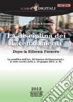 La Disciplina dei Licenziamenti - Dopo la Riforma Fornero: La modifica dell'art. 18 Statuto dei lavoratori e le altre novità della L. 28 giugno 2012, n. 92. E-book. Formato PDF