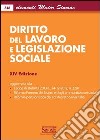 Elementi maior di diritto del lavoro e legislazione sociale. E-book. Formato PDF ebook