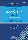 L' esame di avvocato 2013. Sintesi mirata di diritto penale. Parte generale. Parte speciale. E-book. Formato PDF ebook