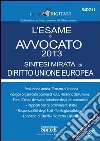 L' esame di avvocato 2013. Sintesi mirata di diritto Unione Europea. E-book. Formato PDF ebook
