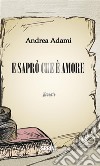 E saprò che è amore. E-book. Formato EPUB ebook