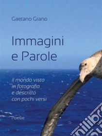 Immagini e Parole. E-book. Formato PDF ebook di Gaetano Grano