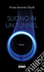 Suono in un tunnel. E-book. Formato EPUB ebook