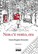 Non c'è vento, ora. E-book. Formato EPUB ebook