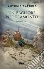 Un bagliore nel tramonto. E-book. Formato EPUB ebook