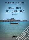 Una luce nel labirinto. E-book. Formato EPUB ebook