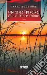 Un solo posto, due distinte anime. E-book. Formato EPUB