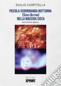 Piccola scorribanda notturna (senza bottino) nella macchia cieca. E-book. Formato EPUB ebook