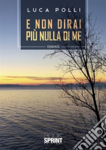 E non dirai più nulla di me. E-book. Formato EPUB ebook di Luca Polli