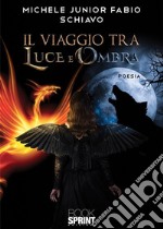 Il viaggio tra luce e ombra. E-book. Formato PDF ebook