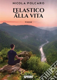 L’elastico alla vita. E-book. Formato EPUB ebook