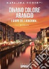 Divano colore arancio. E-book. Formato EPUB ebook