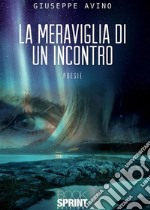 La Meraviglia di un incontro. E-book. Formato EPUB