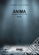 Anima - Frammenti d’oro e di ferro. E-book. Formato EPUB ebook