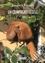 Un compagno fedele. E-book. Formato EPUB ebook