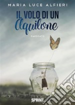 Il volo di un aquilone. E-book. Formato EPUB ebook