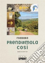 Prendiamola così. E-book. Formato EPUB