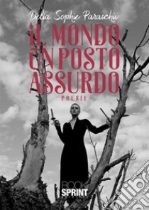 Il mondo un posto assurdo. E-book. Formato EPUB ebook di Delia Sophie Paraschiv