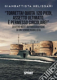 “Torretta! Quota 120 piedi, assetto ultimato, e permesso circolare!”. E-book. Formato PDF ebook