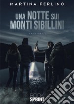 Una notte sui Monti Sibillini. E-book. Formato EPUB ebook