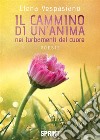 Il cammino di un’anima nei turbamenti. E-book. Formato EPUB ebook