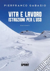 Vita e lavoro istruzioni per l’uso. E-book. Formato EPUB ebook di Pierfranco Gabasio