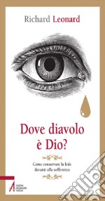 Dove diavolo è Dio? Come conservare la fede davanti alla sofferenza. E-book. Formato PDF ebook