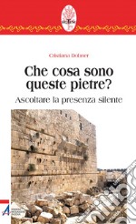 Che cosa sono queste pietre? Ascoltare la presenza silente. E-book. Formato PDF ebook