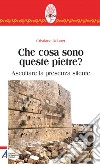 Che cosa sono queste pietre? Ascoltare la presenza silente. E-book. Formato PDF ebook di Cristiana Dobner