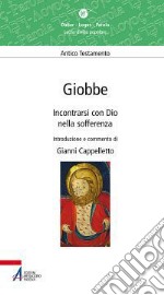 Giobbe. Incontrarsi con Dio nella sofferenza. E-book. Formato EPUB ebook