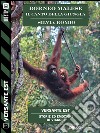 Borneo Malese - Il canto della giungla. E-book. Formato EPUB ebook