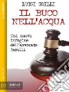 Il buco nell'acqua. E-book. Formato EPUB ebook di Luigi Grilli