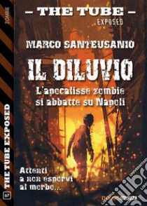 Il diluvio. E-book. Formato EPUB ebook di Marco Santeusanio