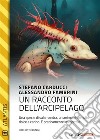 Un racconto dell'arcipelago. E-book. Formato EPUB ebook di Stefano Carducci