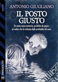 Il posto giusto. E-book. Formato EPUB ebook