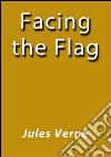 Facing the flag. E-book. Formato EPUB ebook