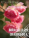 Miracolul din gradina mea. E-book. Formato EPUB ebook di Rebecca Bloom