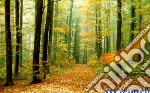 Il Bosco D'autunno. E-book. Formato PDF