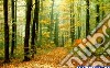 Il Bosco D'autunno. E-book. Formato PDF ebook