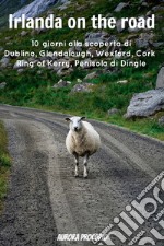 Irlanda on the road: Alla scoperta del sud in 10 giorni. E-book. Formato PDF