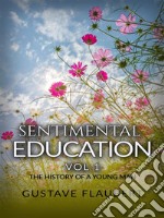 Sentimental Education, or The History of a young man Vol 1 . E-book. Formato EPUB ebook