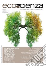 Ecoscienza 1/2017: Inquinamento dell'aria, analisi e strategie, i rischi per la salute. E-book. Formato PDF ebook