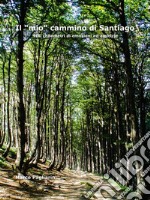 Il &quot;mio&quot; cammino di Santiago900km di emozioni ed amicizie. E-book. Formato EPUB ebook