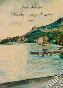 Ora che è tempo di sosta. E-book. Formato EPUB ebook di Angela Ambrosini