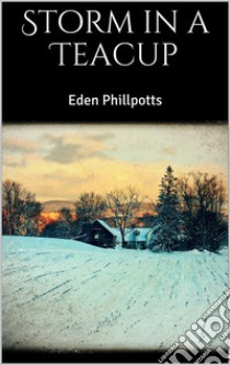 Storm in a Teacup. E-book. Formato EPUB ebook di Eden Phillpotts