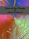 John of the Woods. E-book. Formato Mobipocket ebook di Abbie Farwell Brown