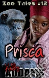 PriscaZoo Tales #12. E-book. Formato PDF ebook di Kelly Addams
